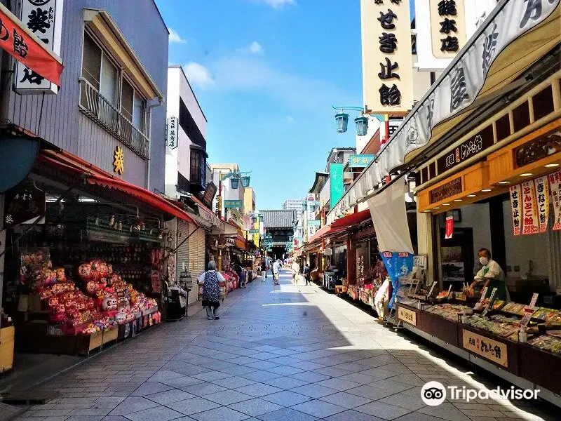 Kawasaki-Daishi Nakamise Shopping Street