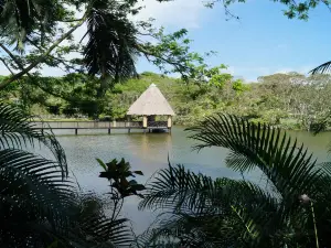 Yumka野生動物公園