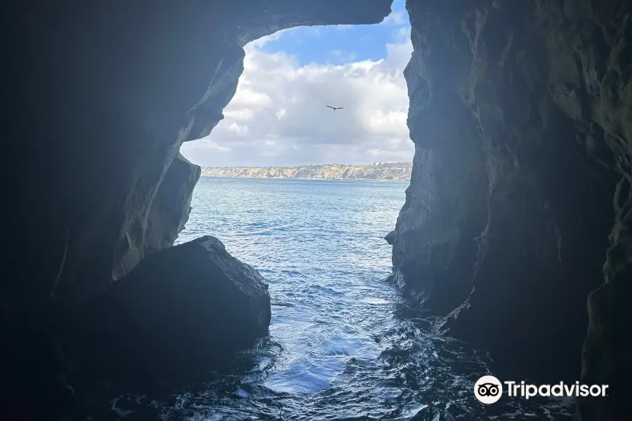 Sunny Jim's Sea Cave