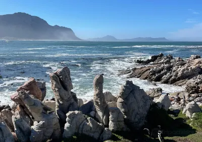 Betty's Bay