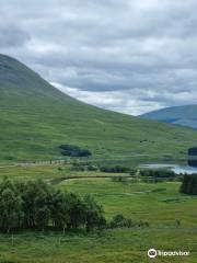 Loch Tulla Viewpoint