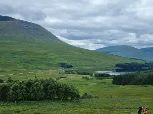 Loch Tulla Viewpoint