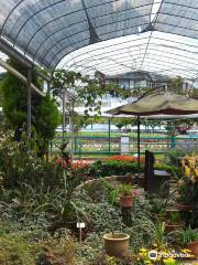 Agro Technology Park MARDI Cameron Highlands