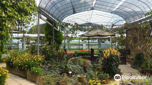 Agro Technology Park MARDI Cameron Highlands