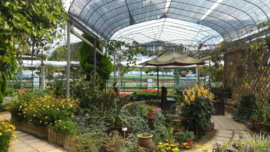 Agro Technology Park MARDI Cameron Highlands