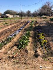 The Farm at South Mountain