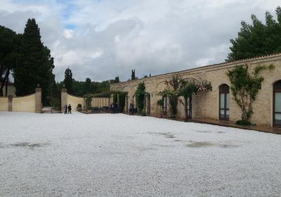 Azienda Agraria Scacciadiavoli