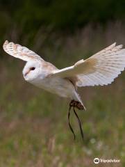 The Devon Bird of Prey Centre