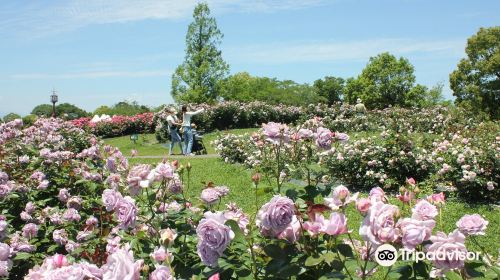 國營木曾三川公園 138塔公園