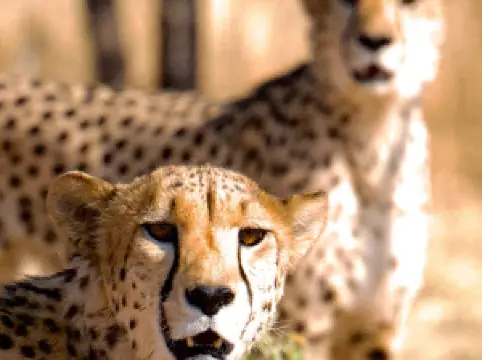 Naankuse Wildlife Sanctuary