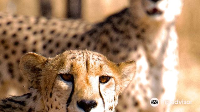 Naankuse Wildlife Sanctuary