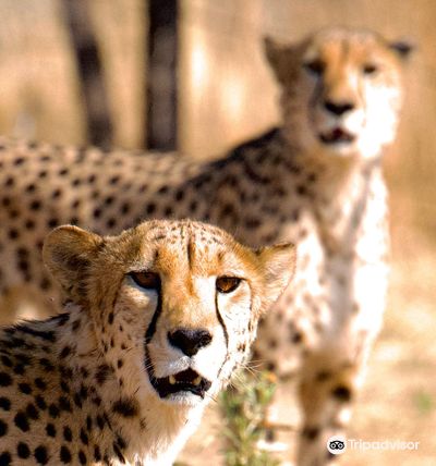 Naankuse Wildlife Sanctuary