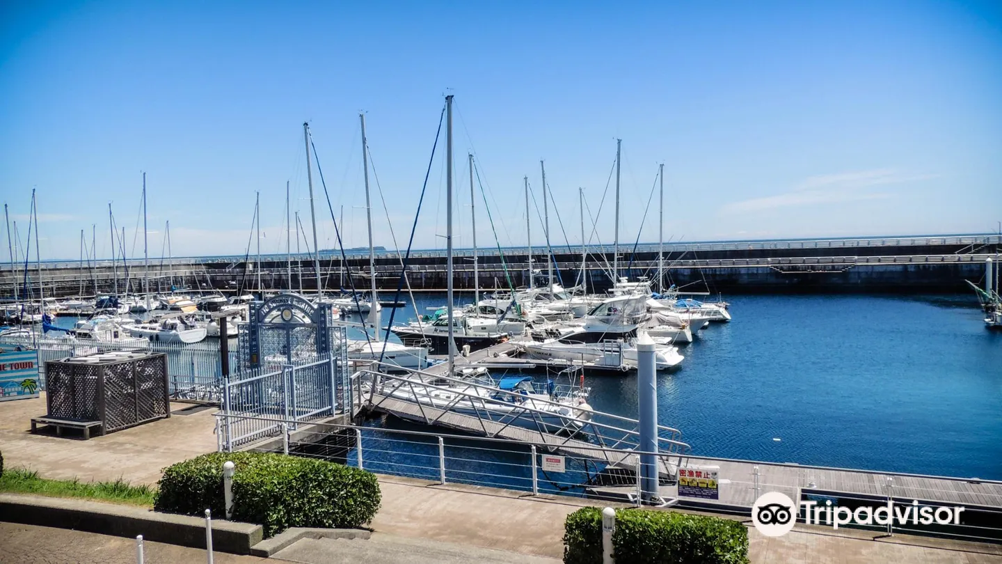 3_Roadside Station Ito Marinetown