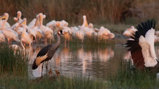 Soysambu Conservancy