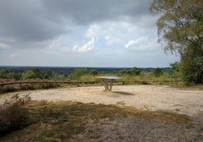 Natuurdiorama Holterberg