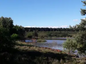 Toegangspoort Mechelse Heide