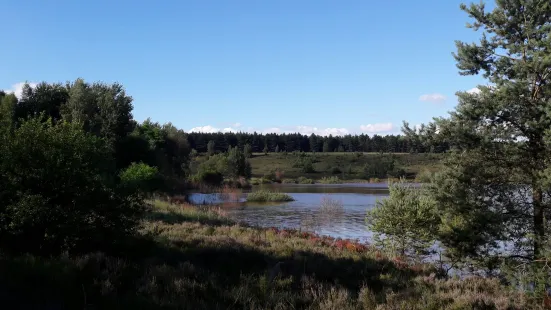 Toegangspoort Mechelse Heide