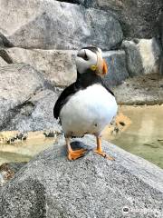 アラスカ水族館