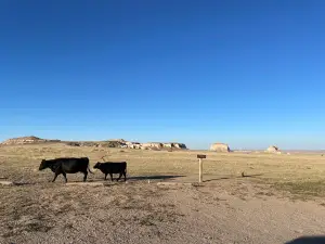 Pawnee National Grassland