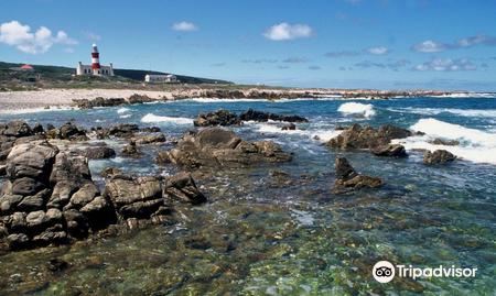 Agulhas National Park