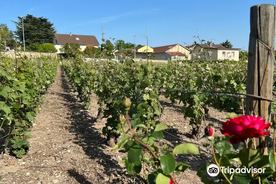 Champagne A Lété