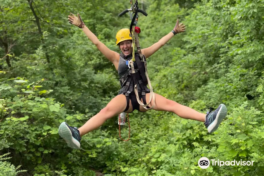 Long Hollow Canopy Tours