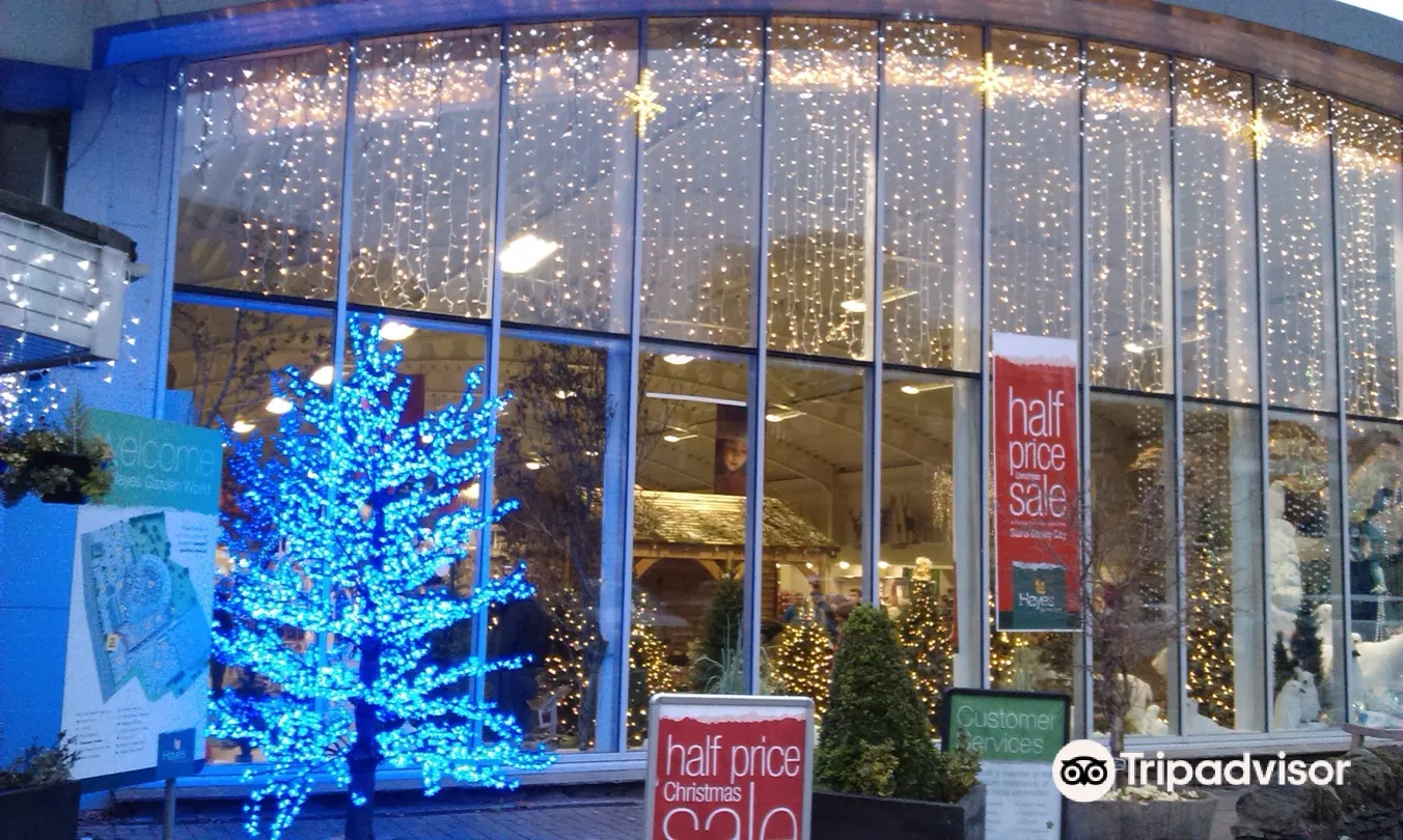 4_Hayes Garden Centre