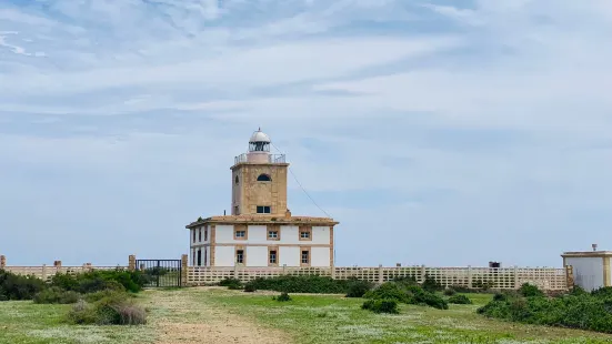 塔巴爾卡島