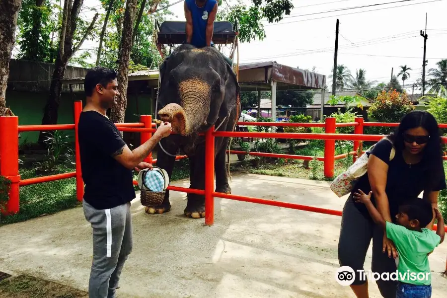 บางแป ซาฟารี