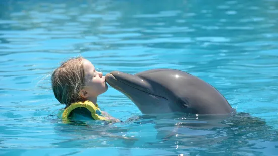 Dolphinaris Riviera Maya