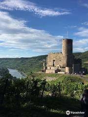 Burgruine-Landshut