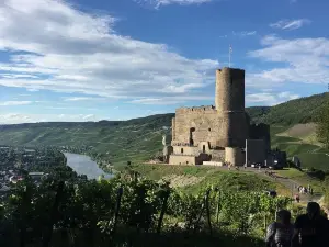 Burg Landshut