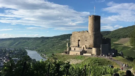 Burgruine-Landshut