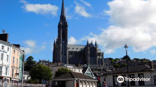 St. Colman's Cathedral, Cobh