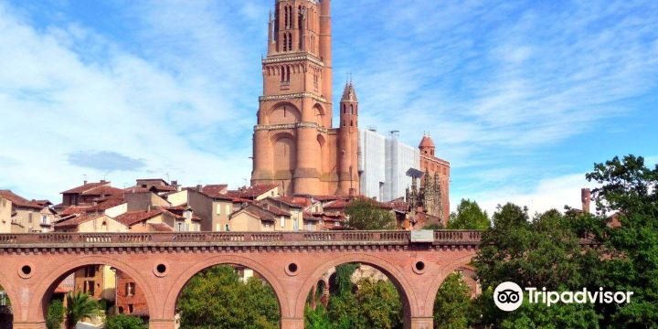 Sainte-Cecile Cathedral of Albi