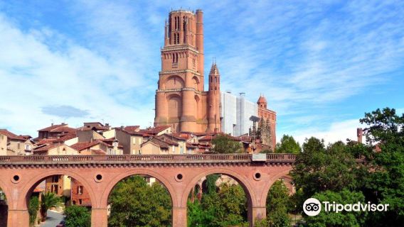 Sainte-Cecile Cathedral of Albi