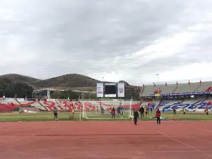 Estadio Carlos Vega Villalba