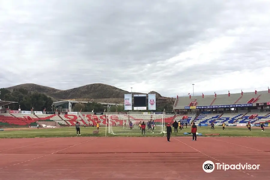 Estadio Carlos Vega Villalba