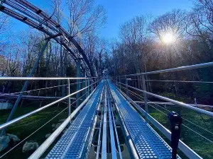 Wilderness Run Alpine Coaster