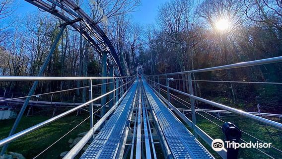 Wilderness Run Alpine Coaster