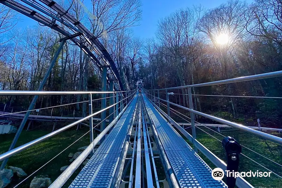 Wilderness Run Alpine Coaster