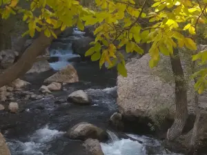 Margoon Waterfall