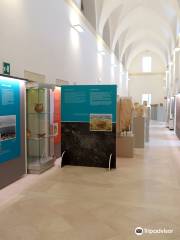 Must - Museo Storico Citta di Lecce