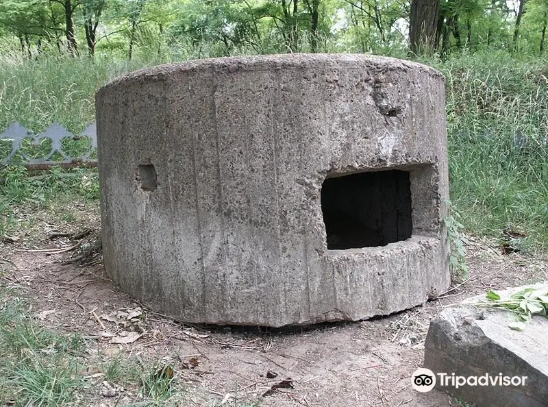 Concrete Defender of Rostov