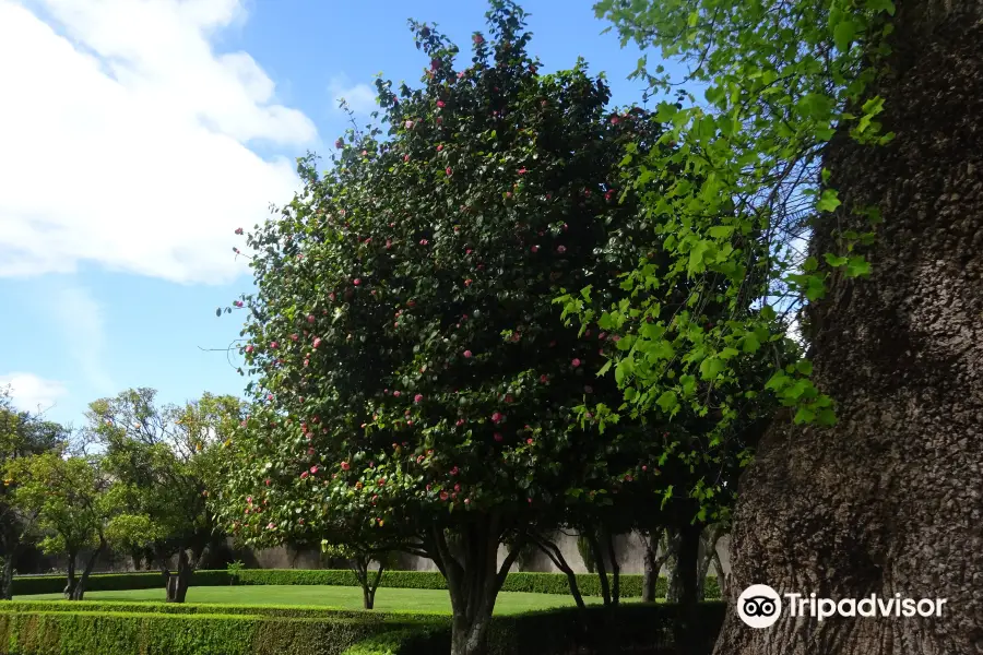 Jardim da Casa dos Biscainhos