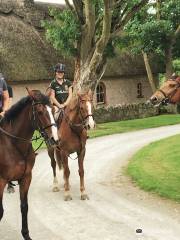 Clonshire Equestrian Centre, Limerick