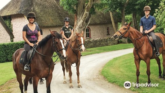 Clonshire Equestrian Centre, Limerick