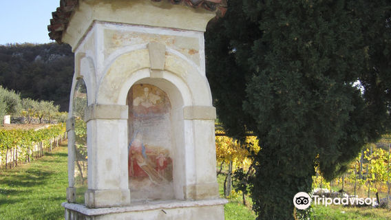 Marano di Valpolicella