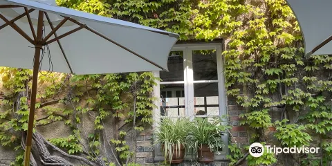 Champagne Marion-Bosser