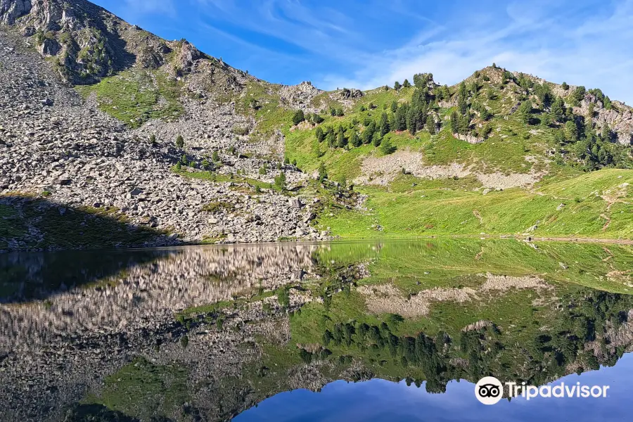 Rifugio Arbolle